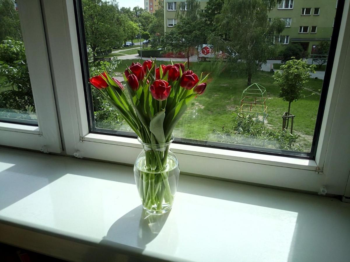 Apartament Usmiech Płock Eksteriør bilde